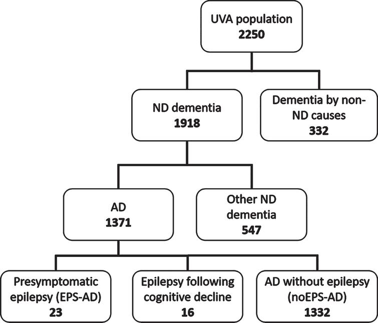 Adult-Onset Epilepsy in Presymptomatic Alzheimer’s Disease: A ...