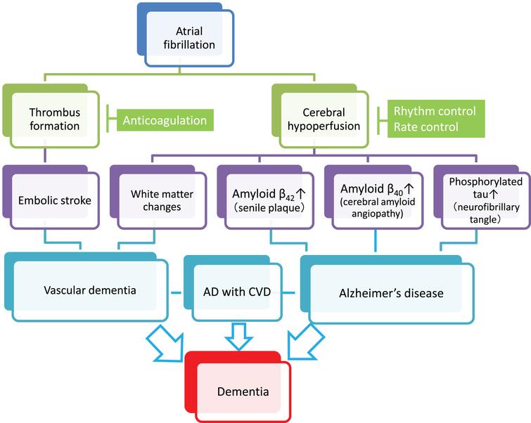 Linking Atrial Fibrillation with Alzheimer’s Disease: Epidemiological ...