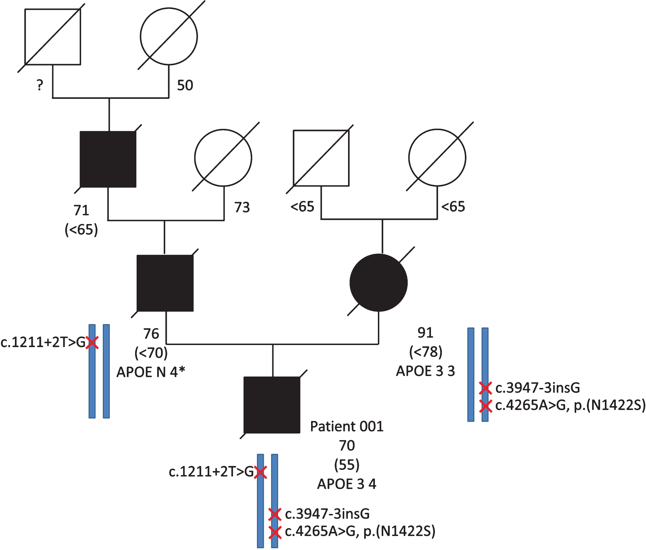 Biallelic Loss of Function of SORL1 in an Early Onset Alzheimer’s ...