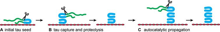 Modeling Prion-Like Processing of Tau Protein in Alzheimer’s Disease ...