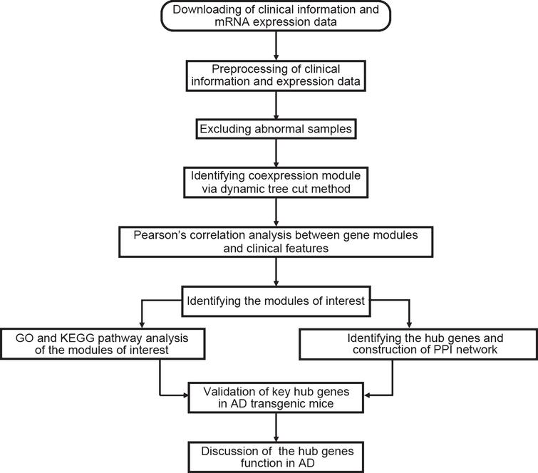 Application of Weighted Gene Co-Expression Network Analysis to Explore ...