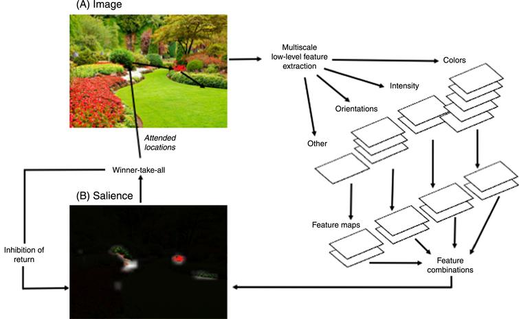 alzheimer-s-disease-visual-search-and-instrumental-activities-of