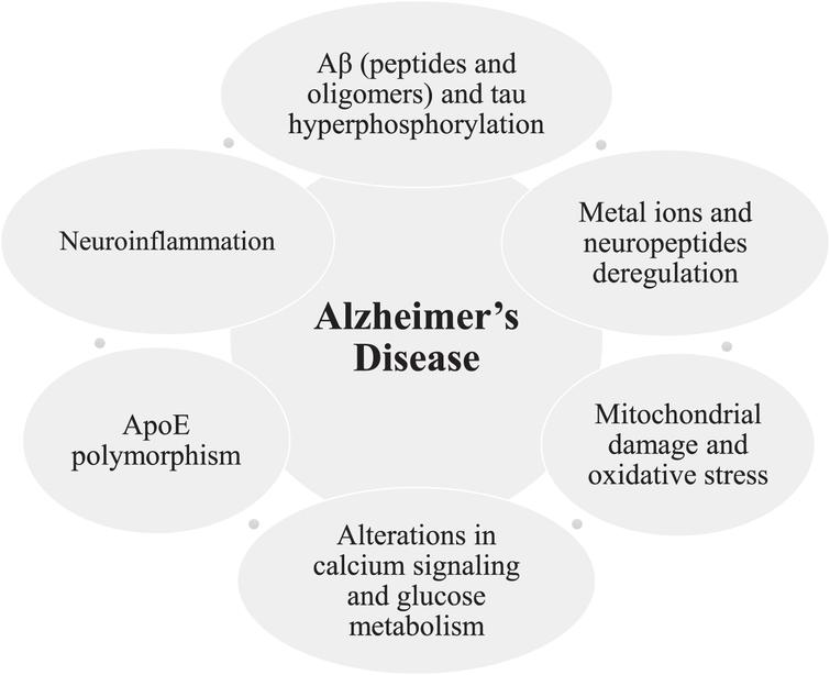 Sex Differences In Alzheimers Disease Where Do We Stand Ios Press