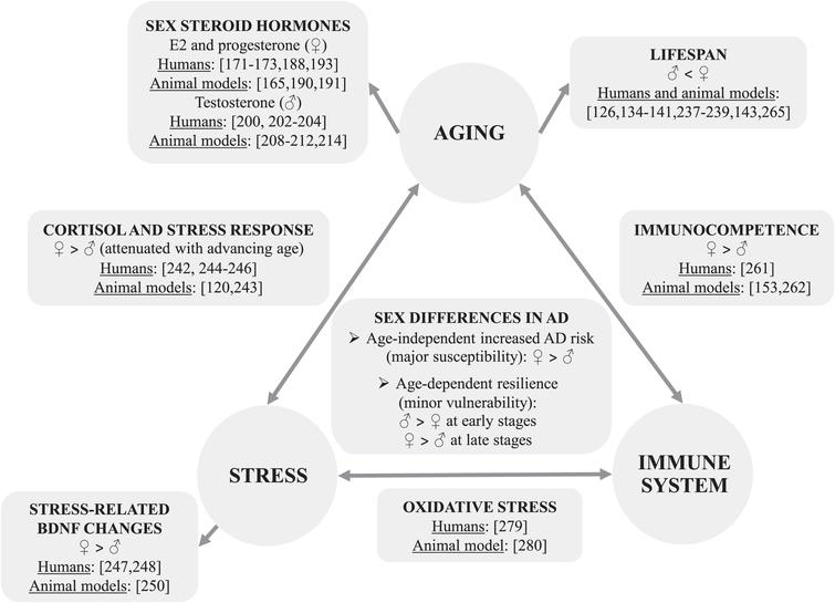 Sex Differences In Alzheimer S Disease Where Do We Stand Ios Press