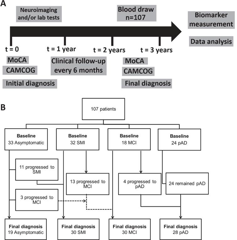 Identification And Preliminary Validation Of A Plasma - 