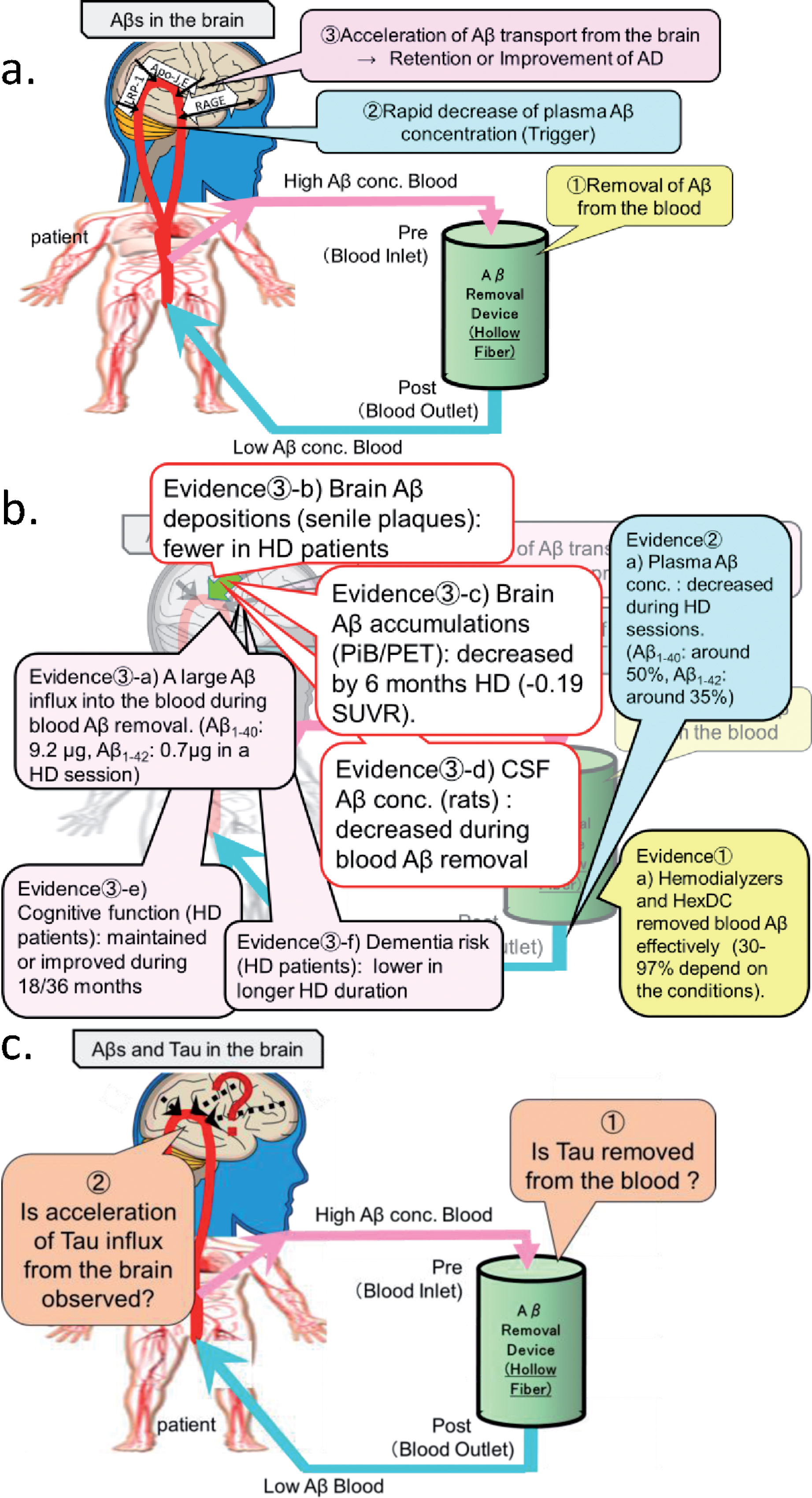 Influx of Tau and Amyloid-β Proteins into the Blood During