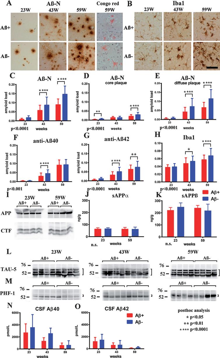 Oral Immunization With Soybean Storage Protein Containing Amyloid B 4 10 Prevents Spatial Learning Decline Ios Press