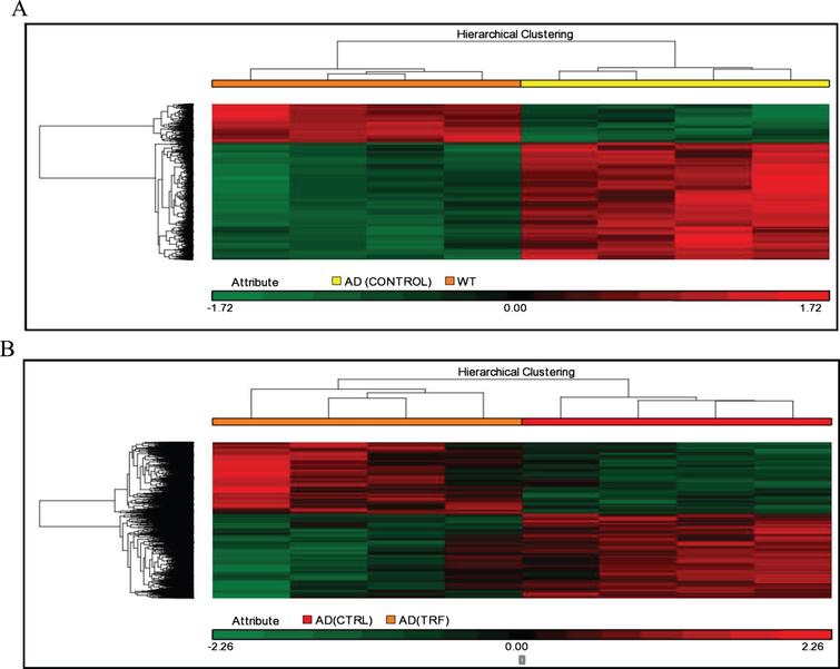 Tocotrienol Rich Fraction Supplementation Modulate Brain Hippocampal Gene Expression In Appswe Ps1de9 Alzheimer S Disease Mouse Model Ios Press