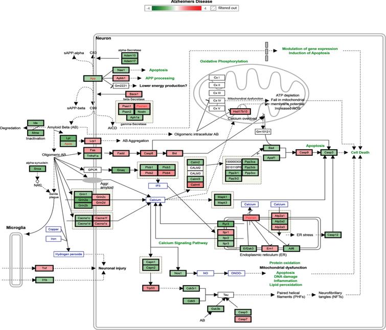 Tocotrienol Rich Fraction Supplementation Modulate Brain Hippocampal Gene Expression In Appswe Ps1de9 Alzheimer S Disease Mouse Model Ios Press