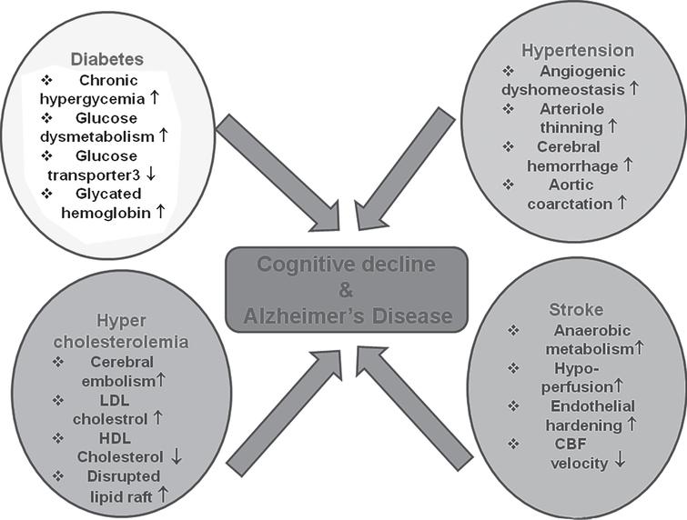 Vascular Risk Factors and Alzheimer’s Disease: Blood-Brain Barrier ...