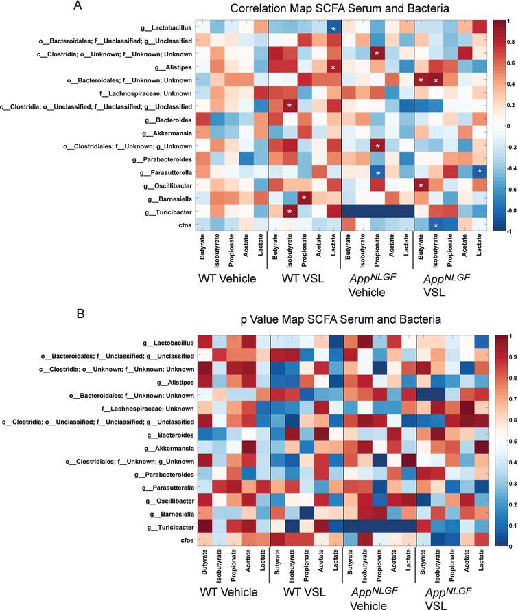 Effects Of Probiotic Supplementation On Short Chain Fatty Acids In The App Nl G F Mouse Model Of Alzheimer S Disease Ios Press