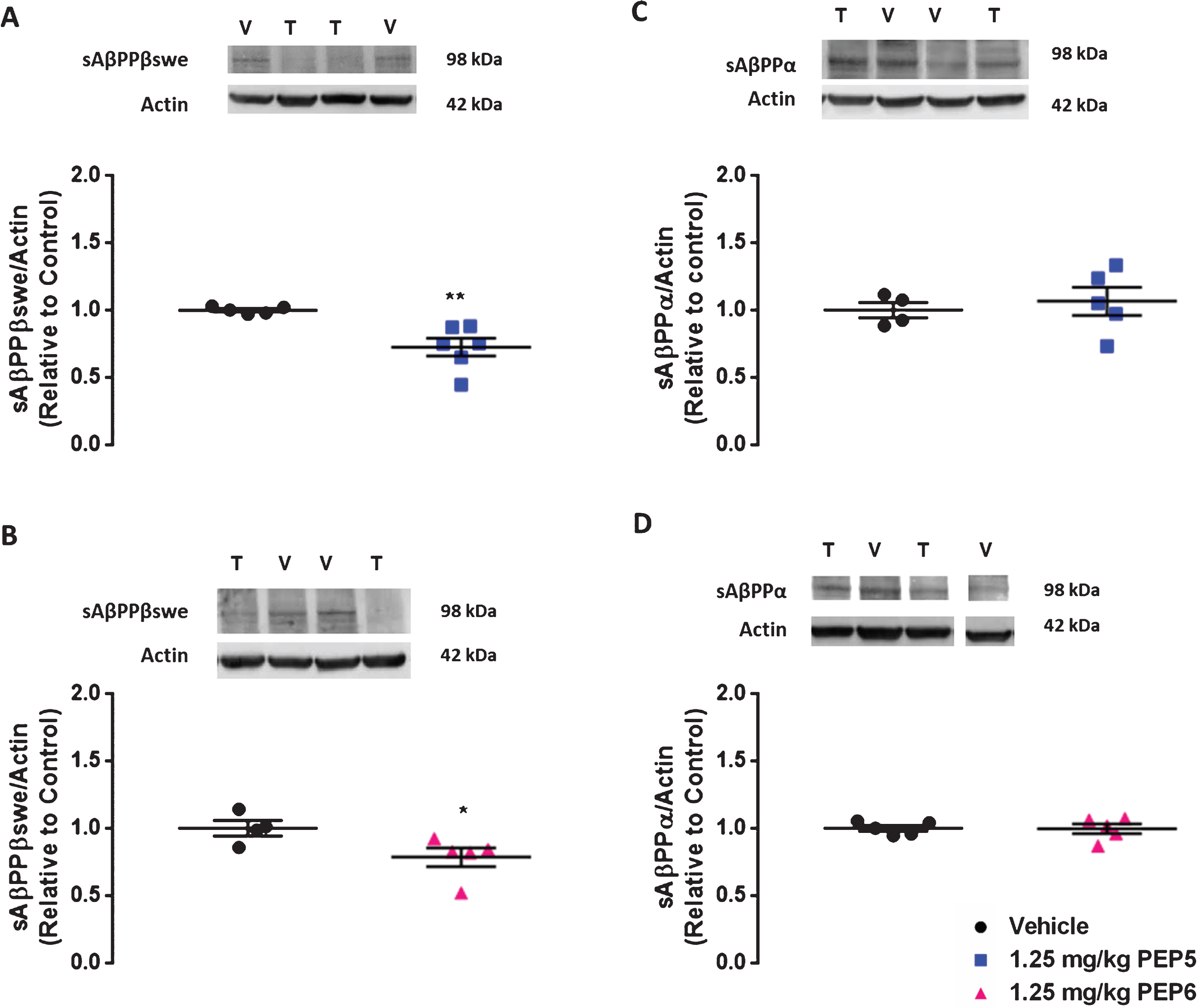 New BACE1 Chimeric Peptide Inhibitors Selectively Prevent AβPP-β ...