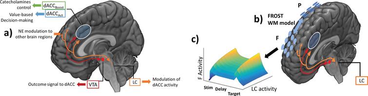 Computational Modeling of Catecholamines Dysfunction in Alzheimer’s ...