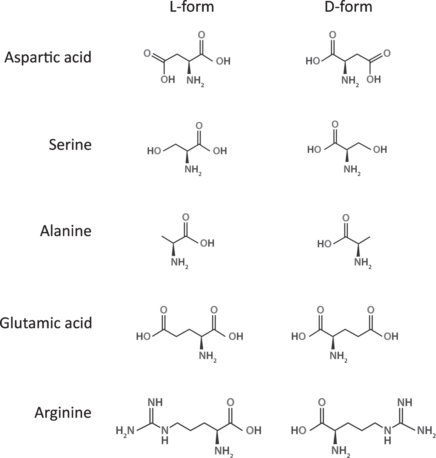 The Role of D-Amino Acids in Alzheimer’s Disease - IOS Press