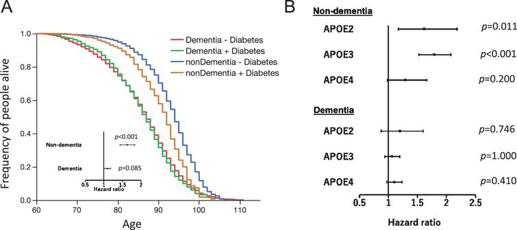 Interaction Between Apoe Genotype And Diabetes In Longevity Ios Press