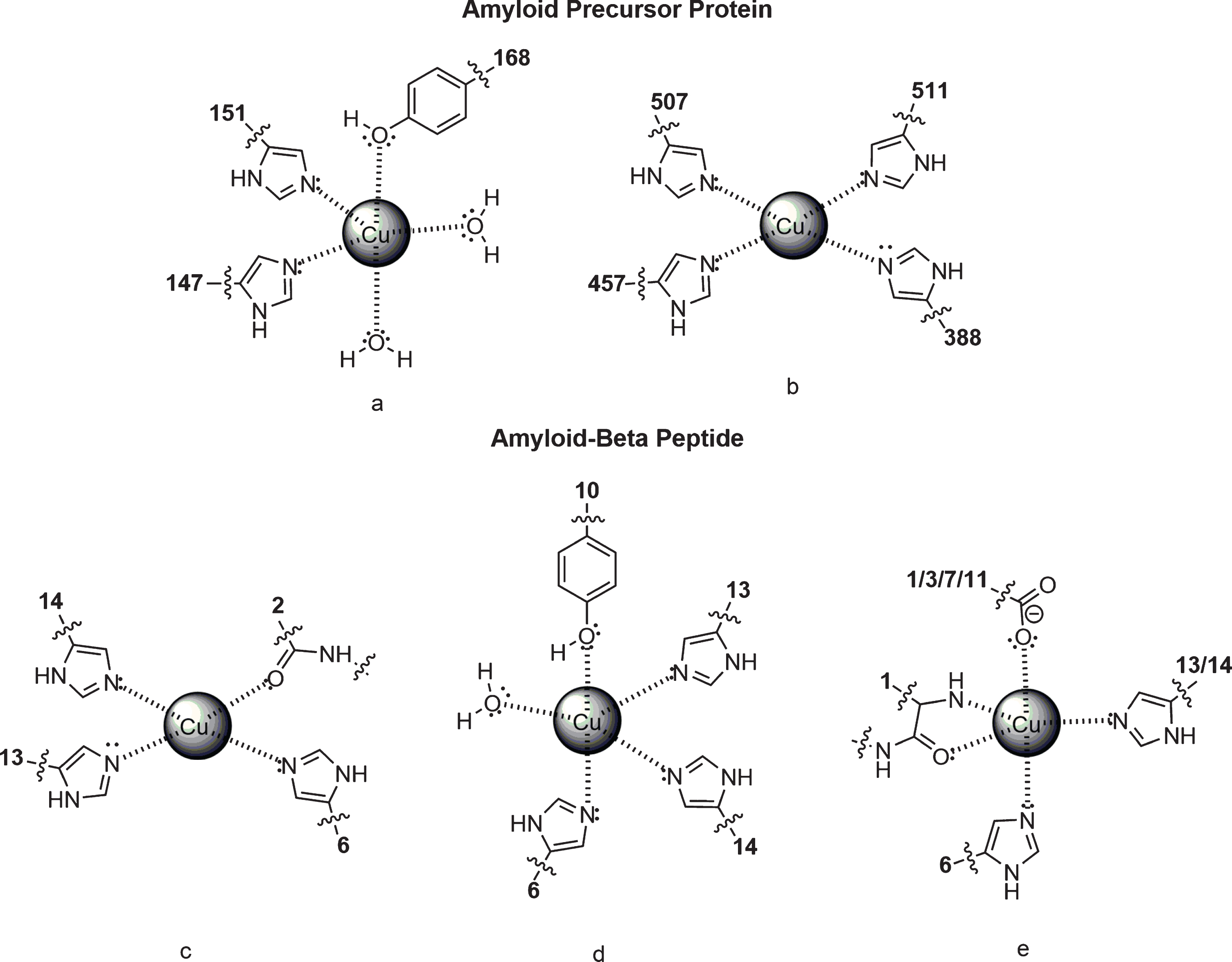 Polyphenols as Potential Metal Chelation Compounds Against 
