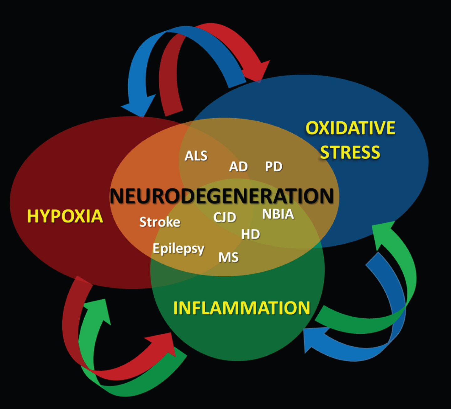 Hypoxia, Oxidative Stress, And Inflammation: Three Faces Of ...