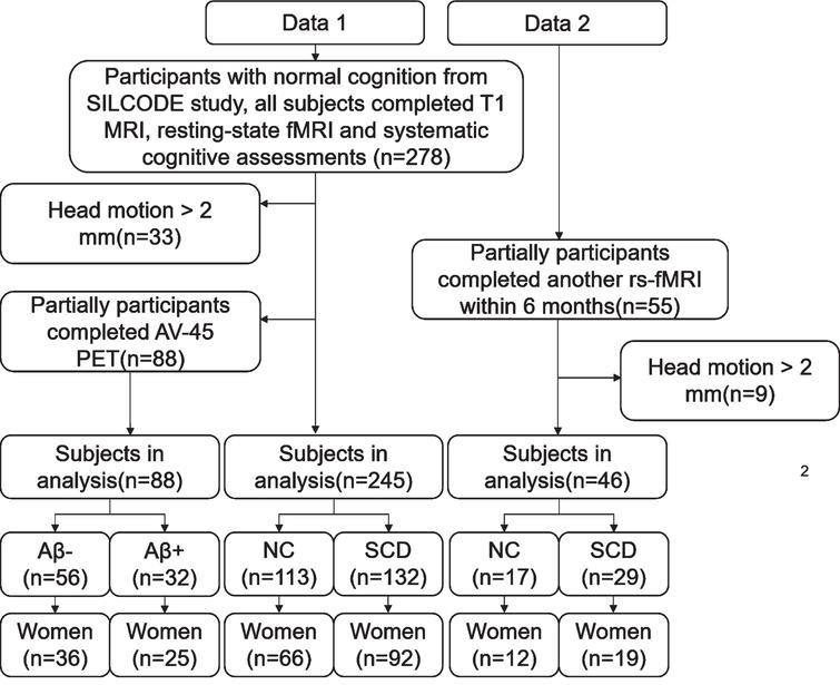 Women Exhibit Lower Global Left Frontal Cortex Connectivity Among ...