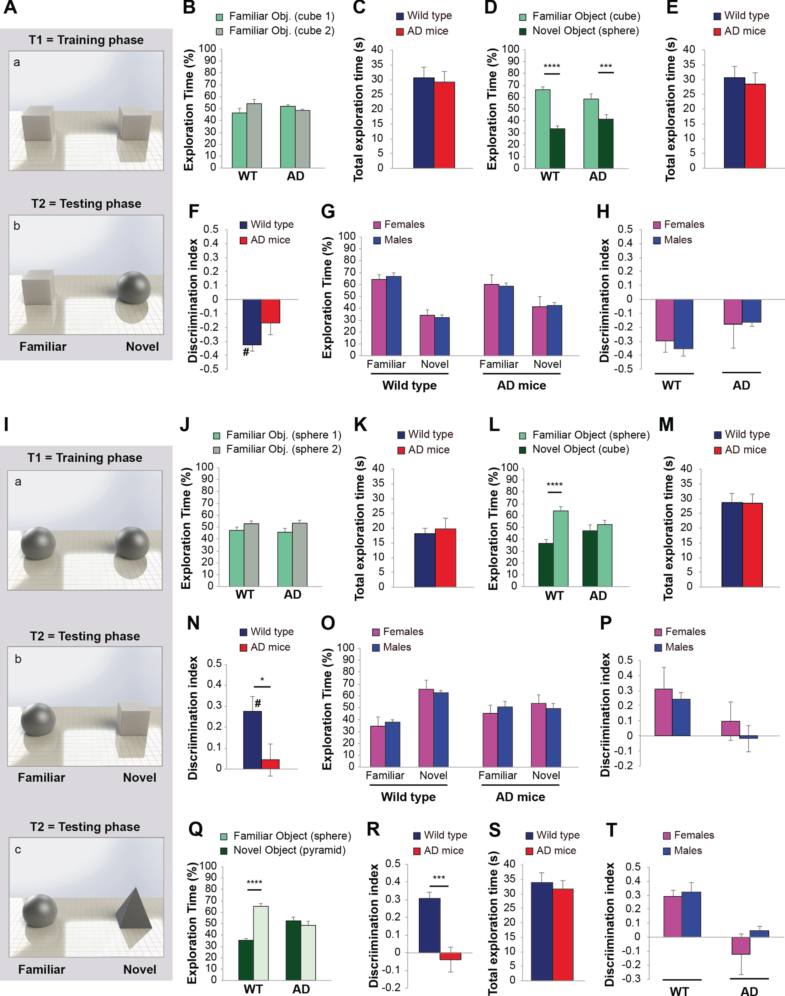 Mice recognize 3D objects from recalled 2D pictures, support for  picture-object equivalence