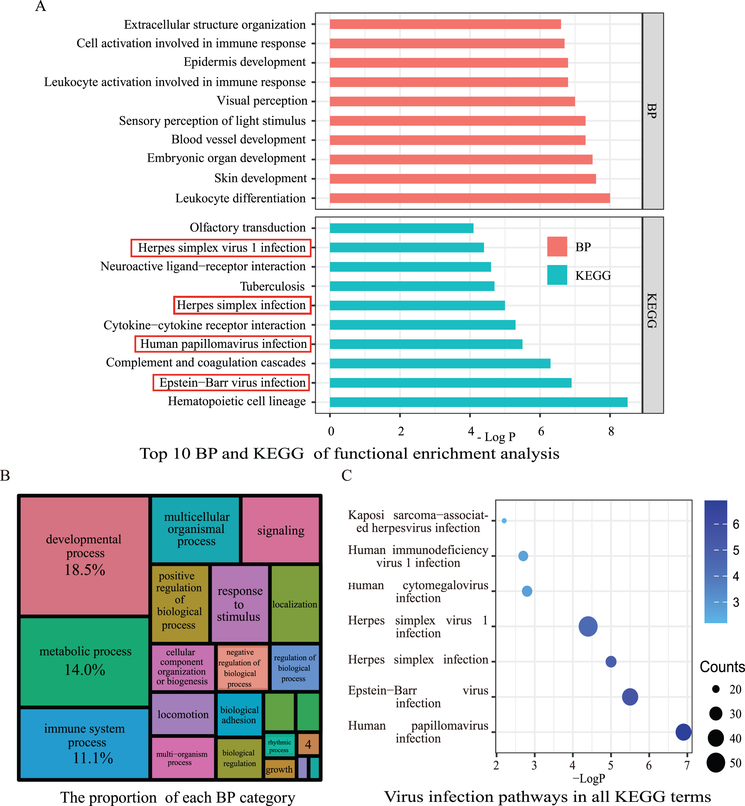 Integrated Bioinformatics Analysis Identifies Hub Genes Associated With ...