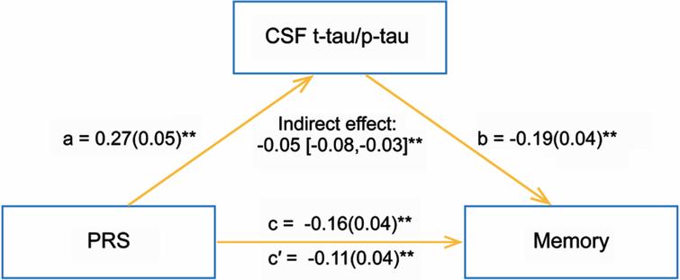 A Pathway Specific Polygenic Risk Score Is Associated With Tau Pathology And Cognitive Decline