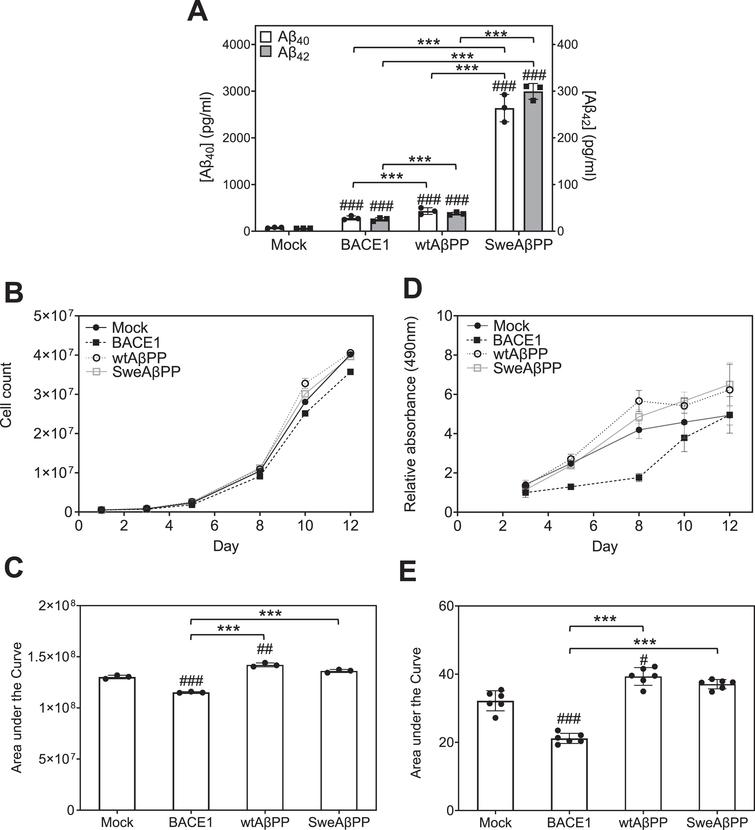 Bace1 Overexpression Reduces Sh-sy5y Cell Viability Through A Mechanism 