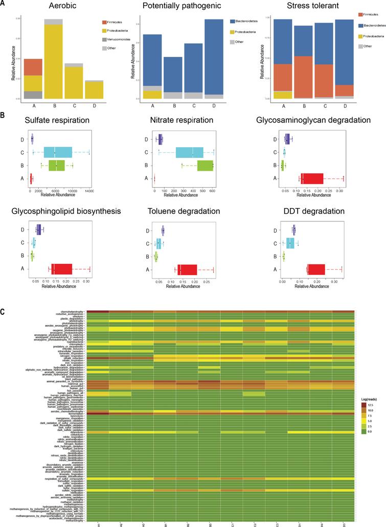 Transfer Of Tumor-bearing Mice Intestinal Flora Can Ameliorate 