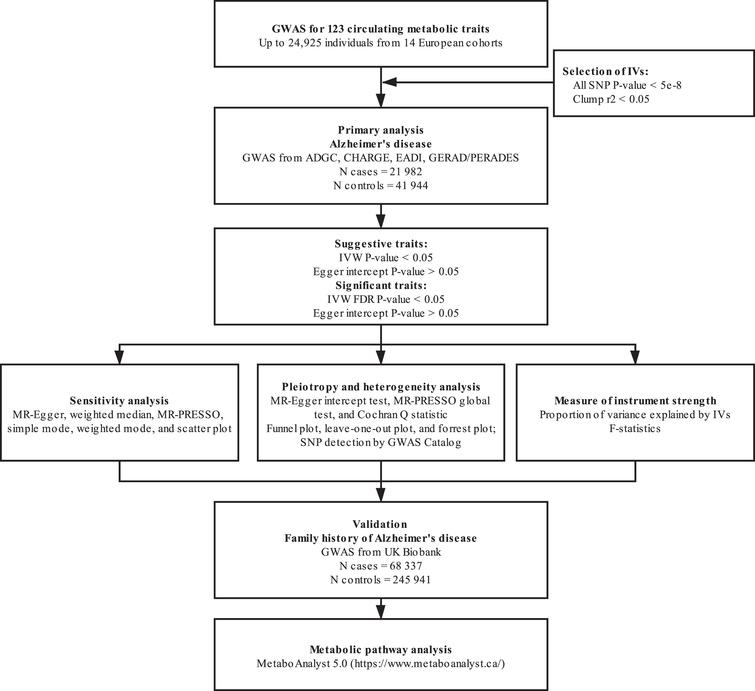 Investigating Causal Relations Between Circulating Metabolites and ...