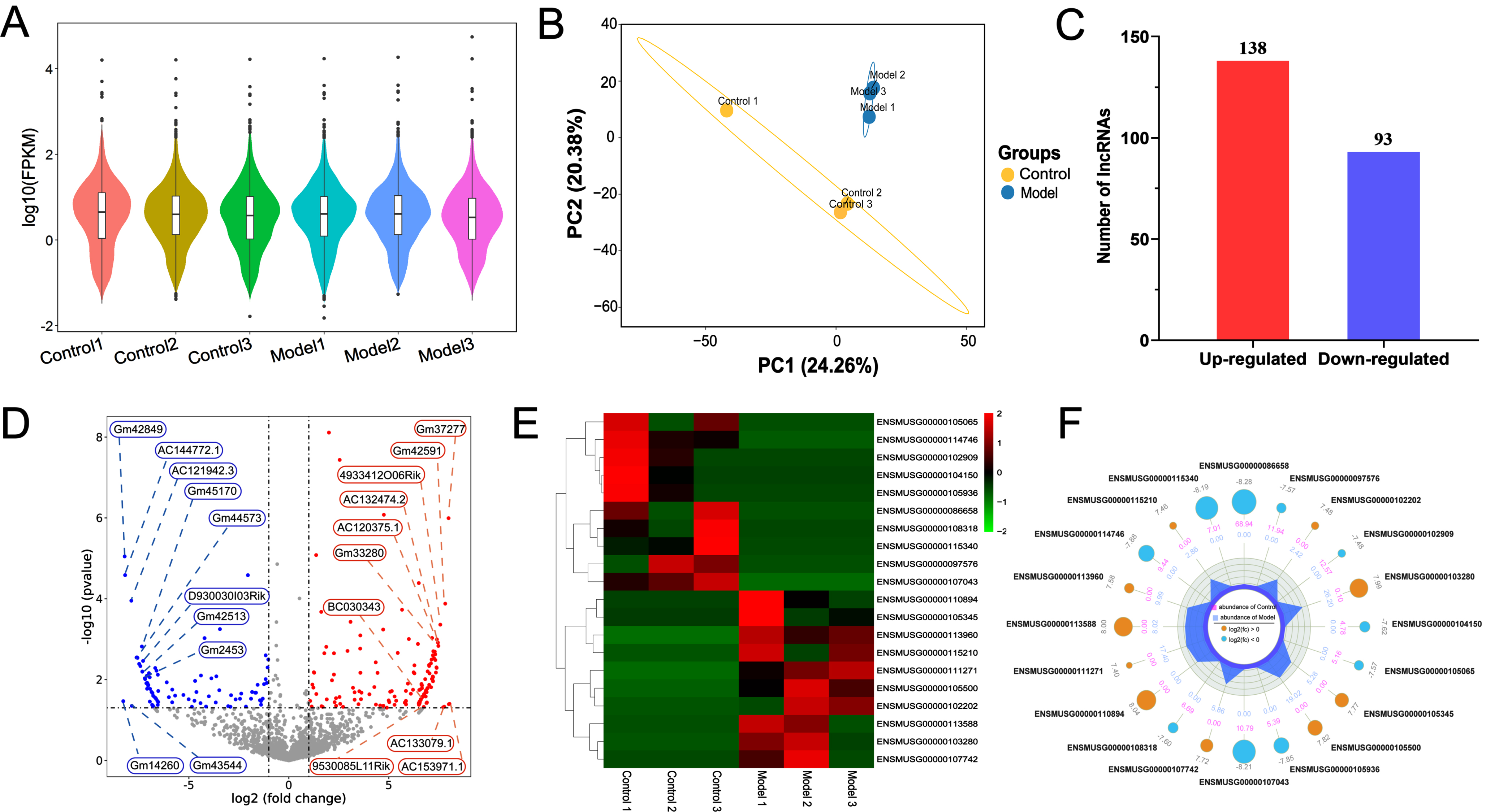 Comprehensive Analysis of Long Non-Coding RNAs N4-Acetylcytidine in ...