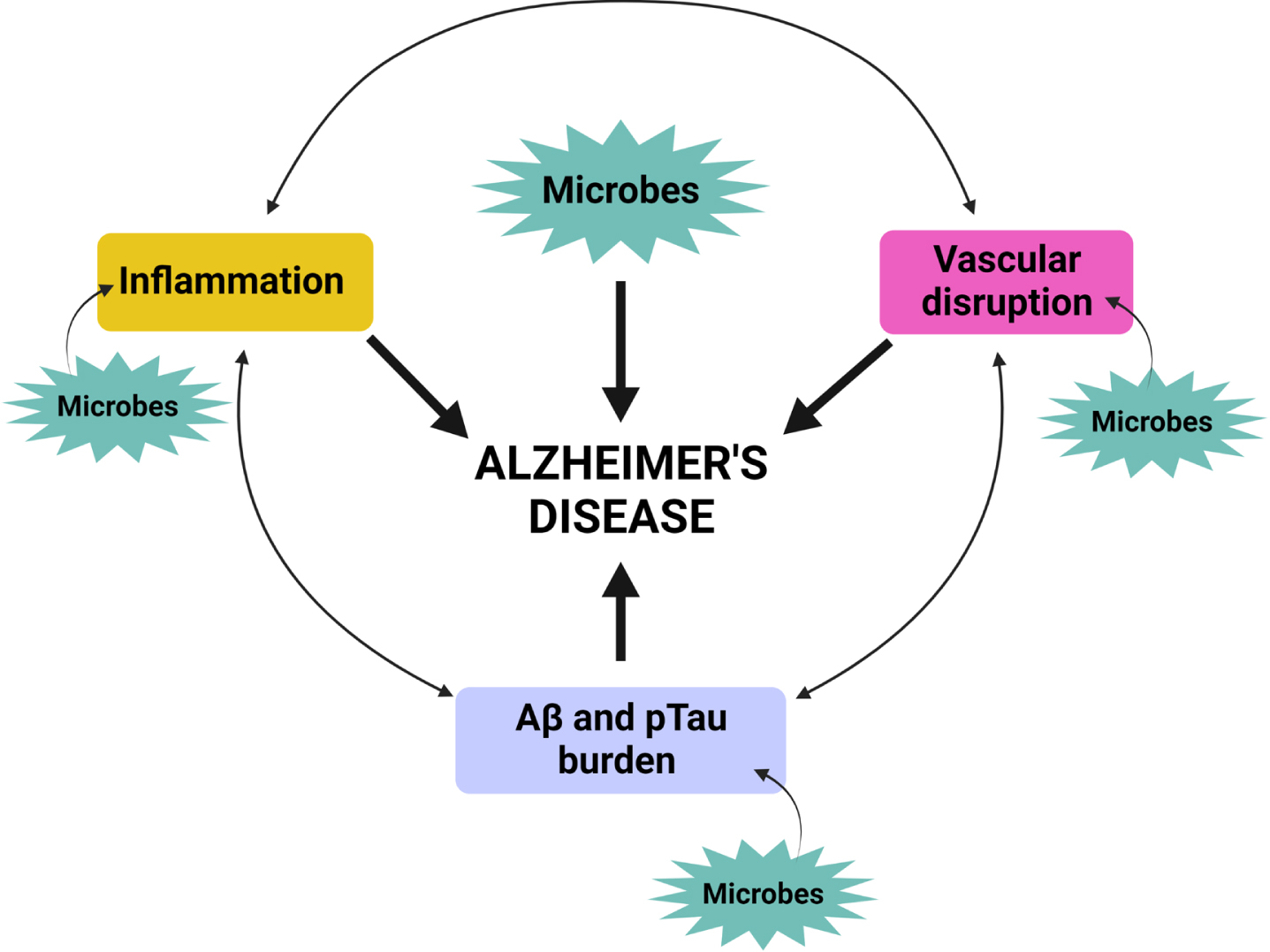 A Unifying Hypothesis for Alzheimer's Disease: From Plaques to