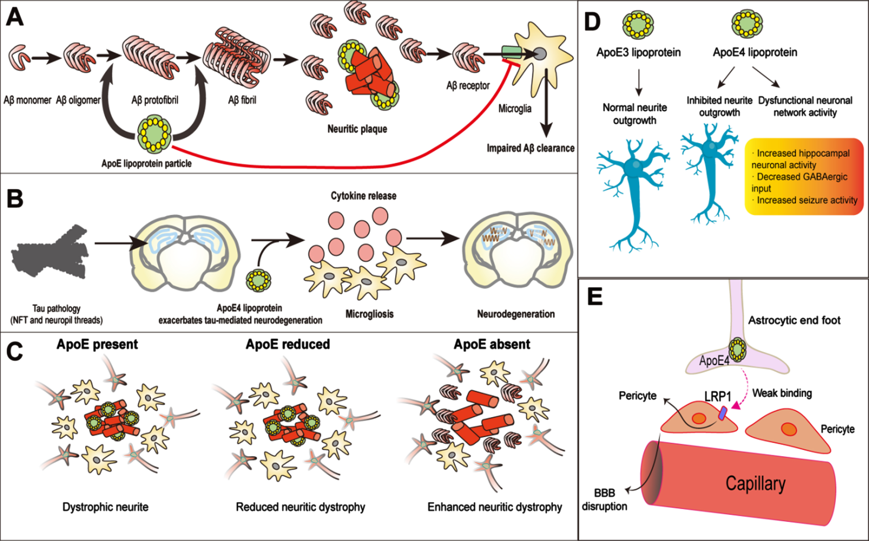 Pathogenesis, Animal Models, and Drug Discovery of Alzheimer's Disease -  IOS Press