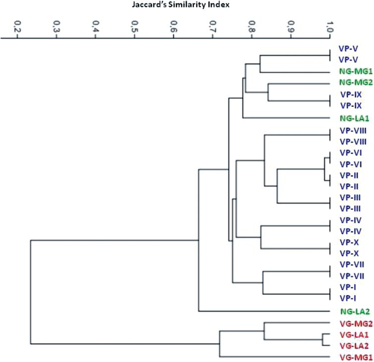 In Vitro Propagation And Conservation Of Wild Bilberry Vaccinium Myrtillus L Genotypes Collected In The Tuscan Apennines Italy Ios Press