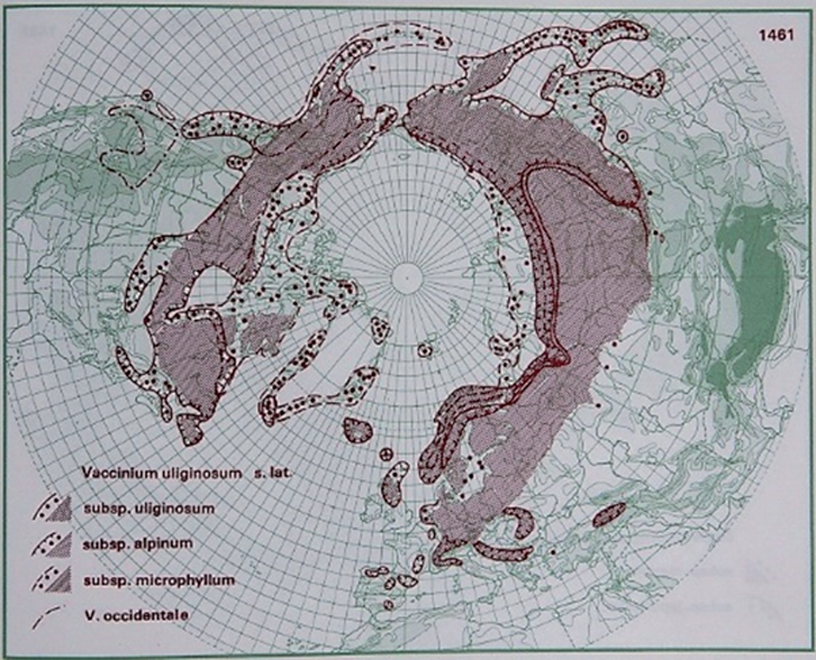 Review of botanical characterization, growth preferences, climatic 