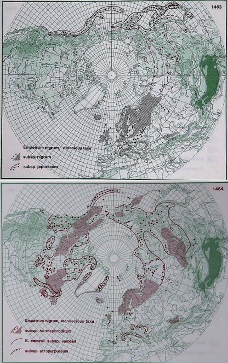 Review Of Botanical Characterization Growth Preferences Climatic Adaptation And Human Health Effects Of Ericaceae And Empetraceae Wild Dwarf Shrub Berries In Boreal Alpine And Arctic Areas Ios Press