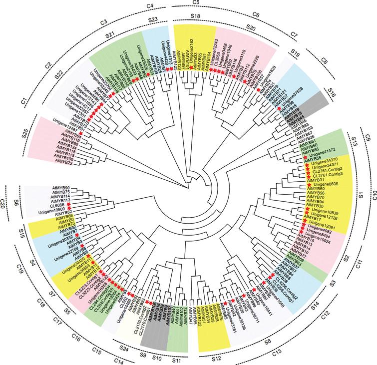 Identification of R2R3-MYB gene family reveal candidate genes for ...