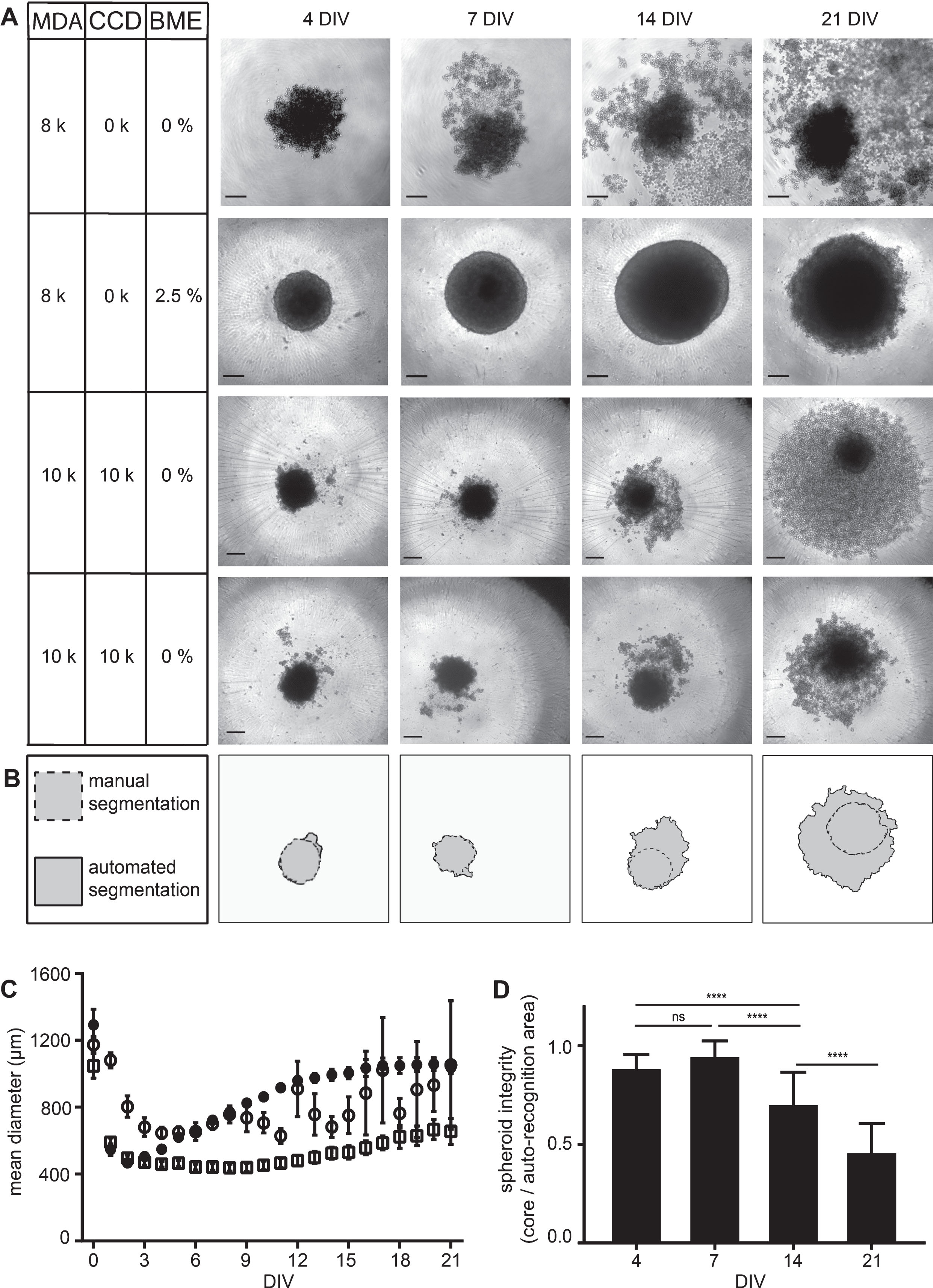 Towards Optimized Breast Cancer 3D Spheroid Mono- And Co-culture Models ...