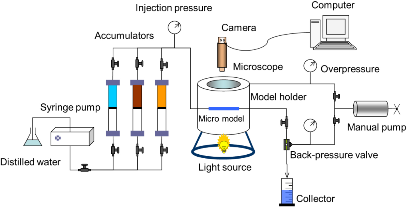 Mechanism of action of Geobacillus stearothermophilus on different ...