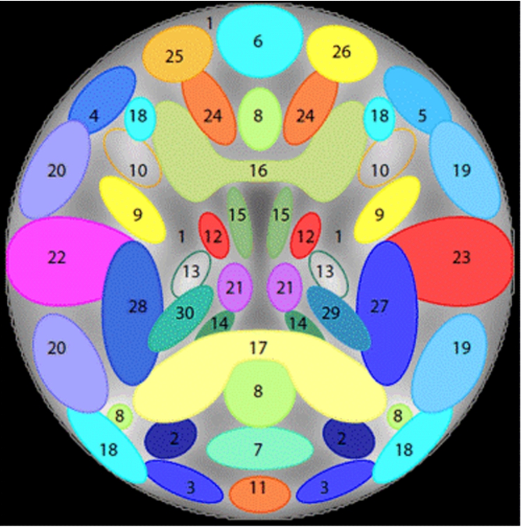 Comparison of separation performance of independent component analysis ...