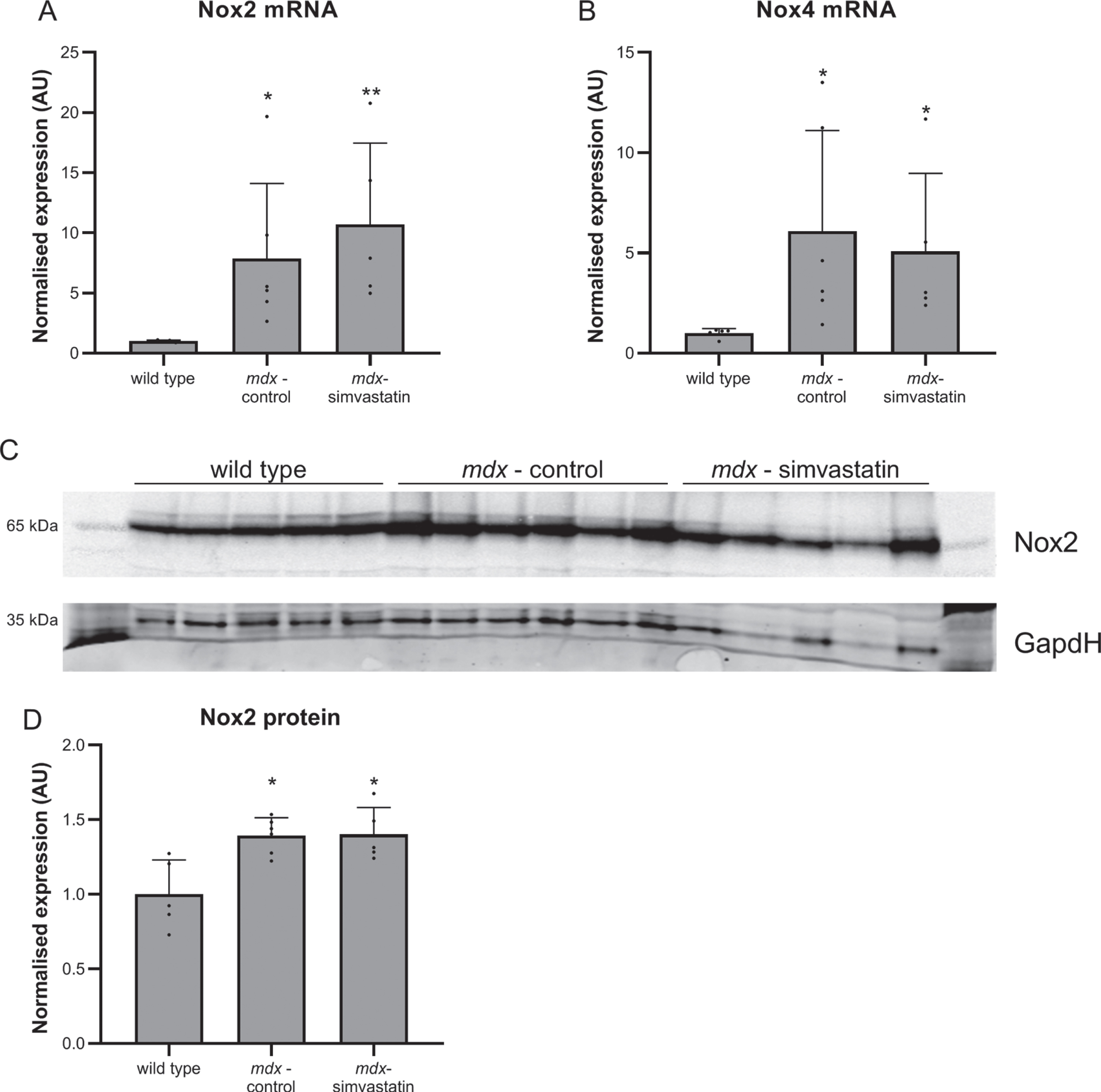 Neuromuscular electrical stimulation: (a) quadriceps and (b) diaphragm.