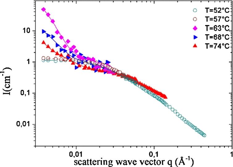 Coupling Nmr To Sans Addressing At Once Structure And Dynamics In Soft Matter Ios Press