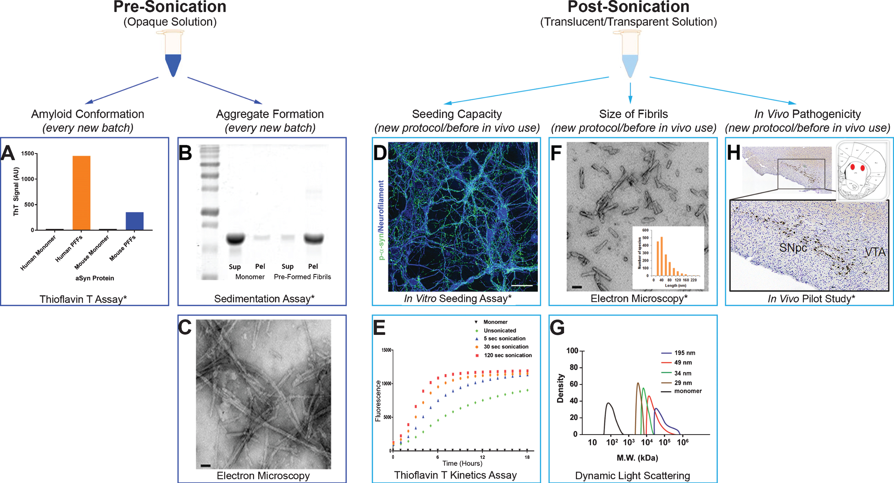 Best Practices For Generating And Using Alpha-Synuclein Pre-Formed ...