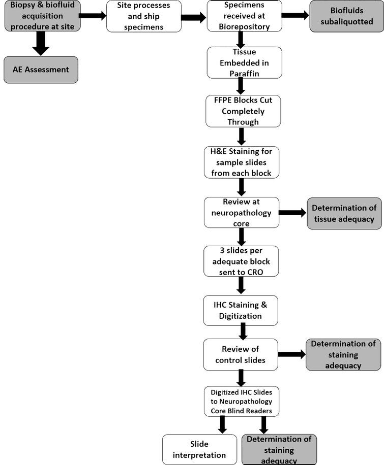 Feasibility And Safety Of Multicenter Tissue And Biofluid Sampling For A Synuclein In Parkinson S Disease The Systemic Synuclein Sampling Study S4 Ios Press