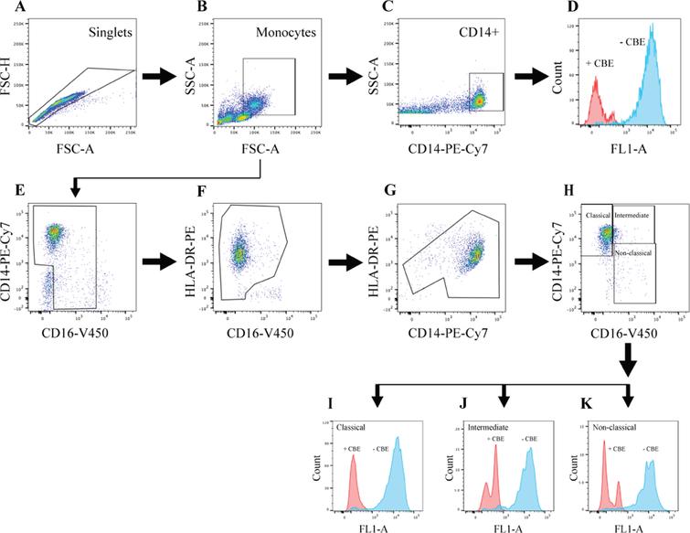 Glucocerebrosidase Activity is Reduced in Cryopreserved Parkinson’s ...