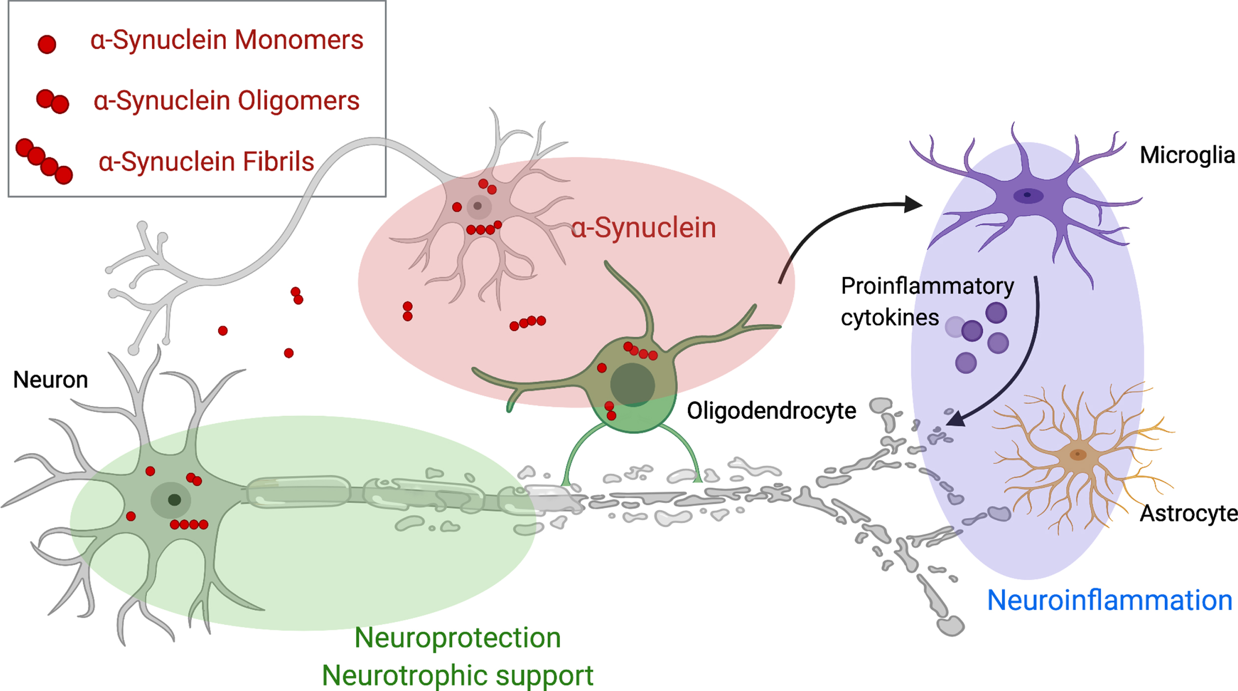 Disease-Modifying Therapies for Multiple System Atrophy: Where Are We in  2022? - IOS Press