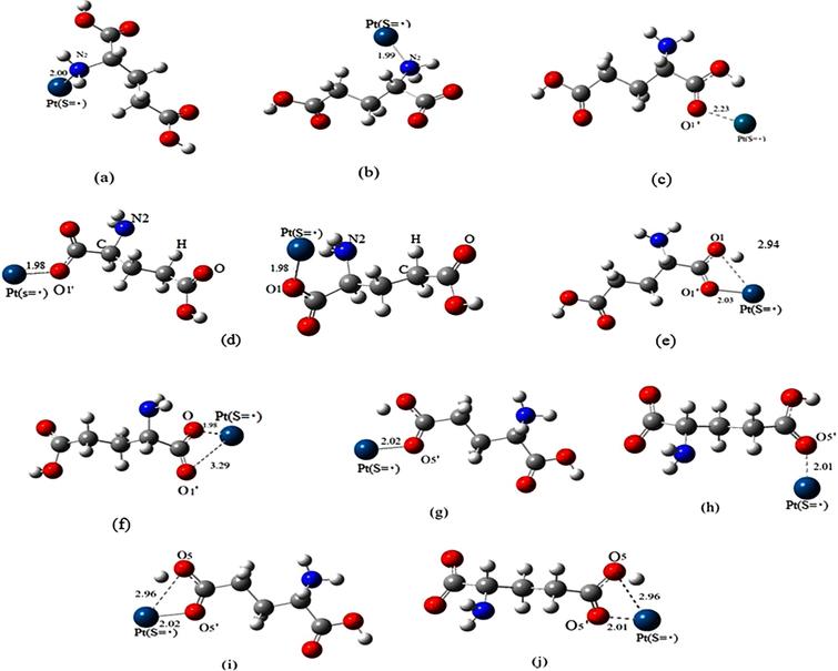 Platinum complexation with glutamate amino acid: Computational study ...