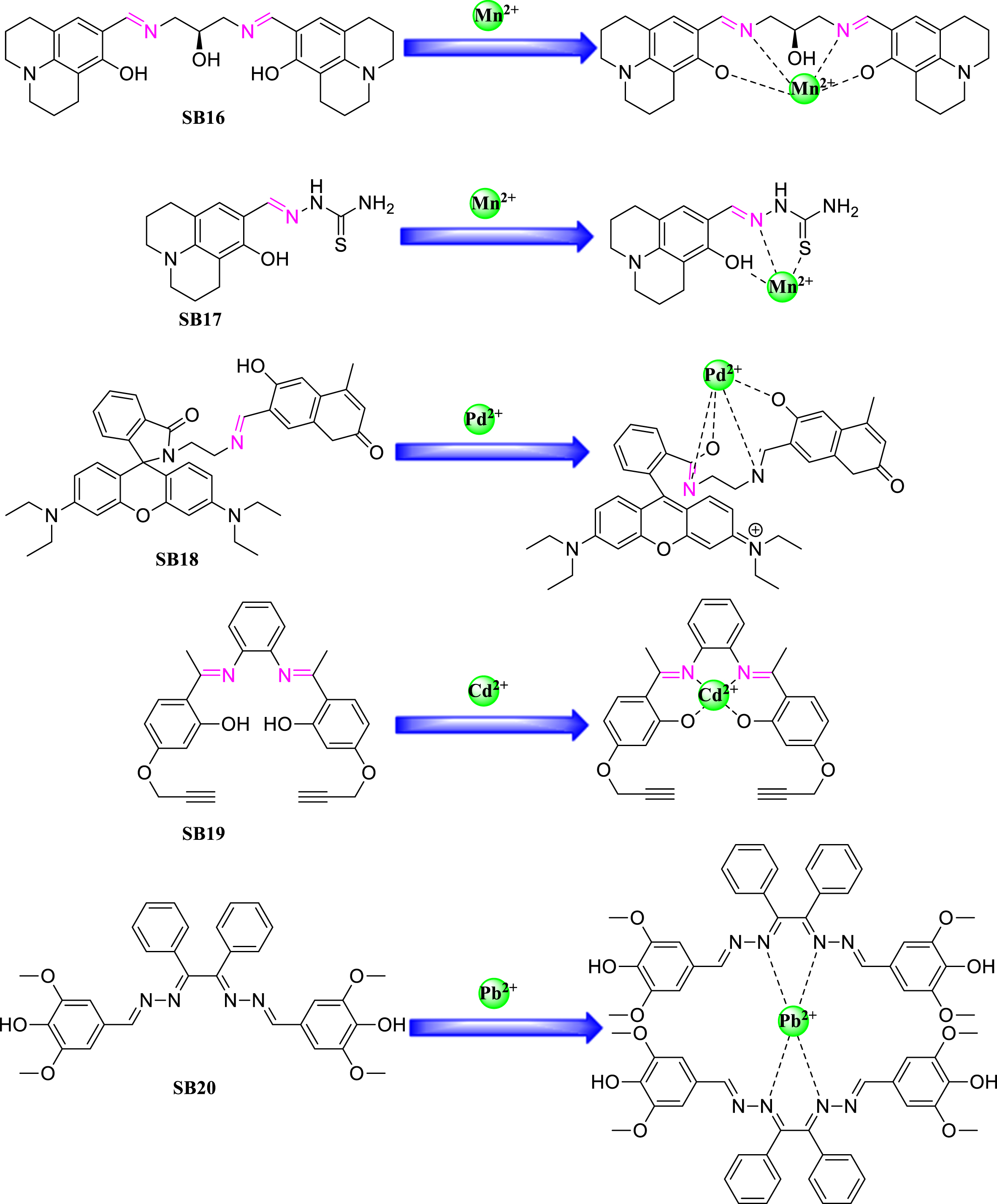 Medicinal importance and chemosensing applications of Schiff base ...