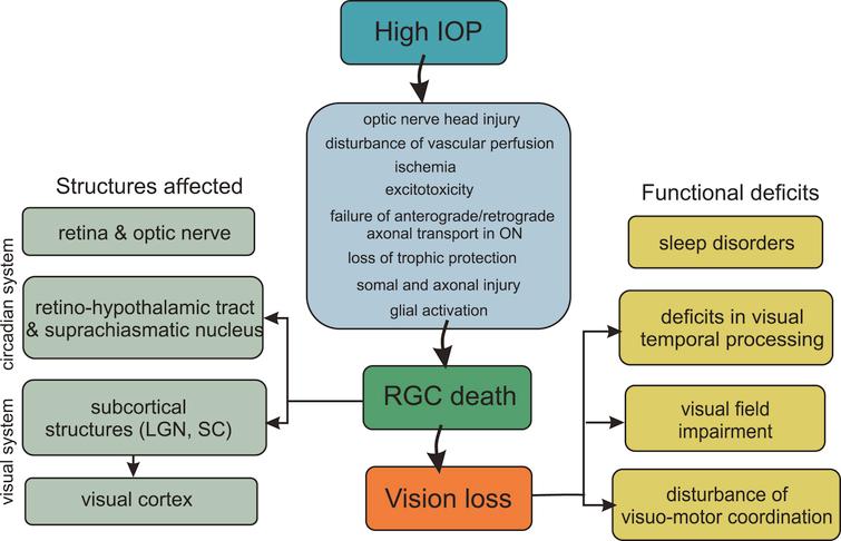 statistics b table Glaucoma the treatment on and â€“state of perspectives art