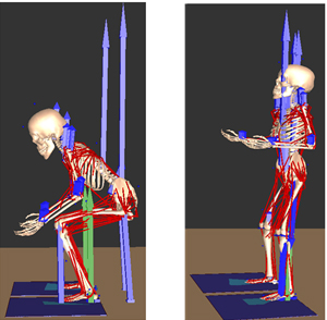 Analysis of maximum joint moment during infant lifting-up motion - IOS ...