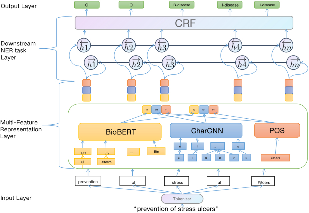 Biomedical Named Entity Recognition Based On Fusion Multi-features ...