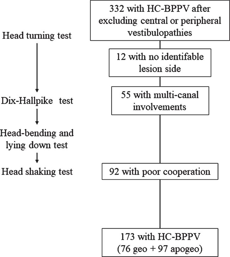 The association of head shaking nystagmus with head ...